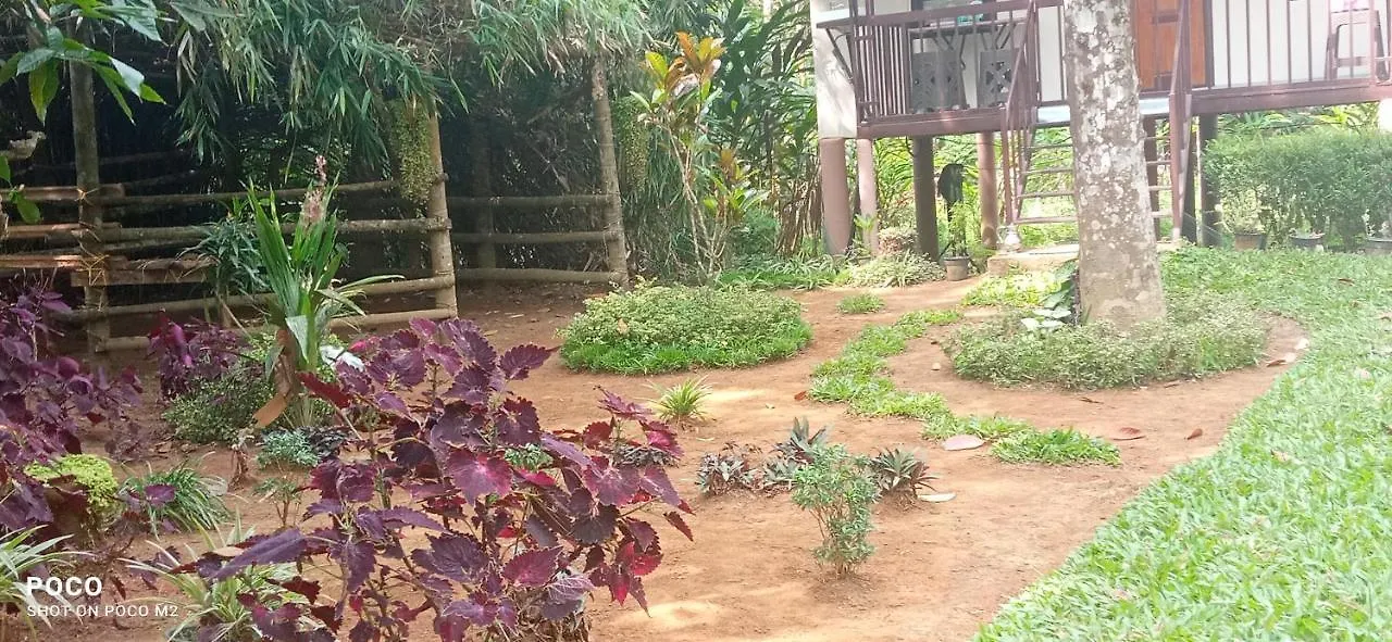 Family Villa Is A Hut Style Accommodation Tariyod Indien