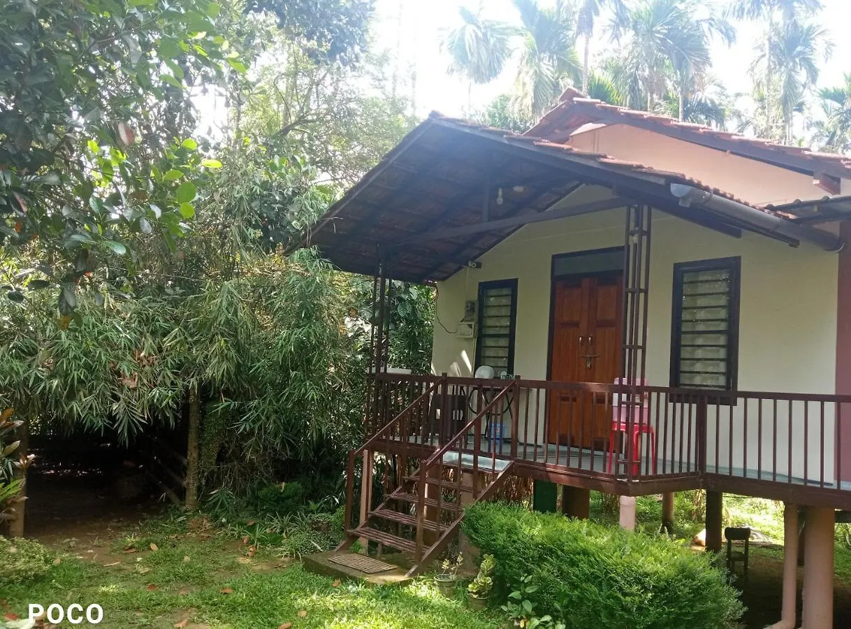 Family Villa Is A Hut Style Accommodation Tariyod
