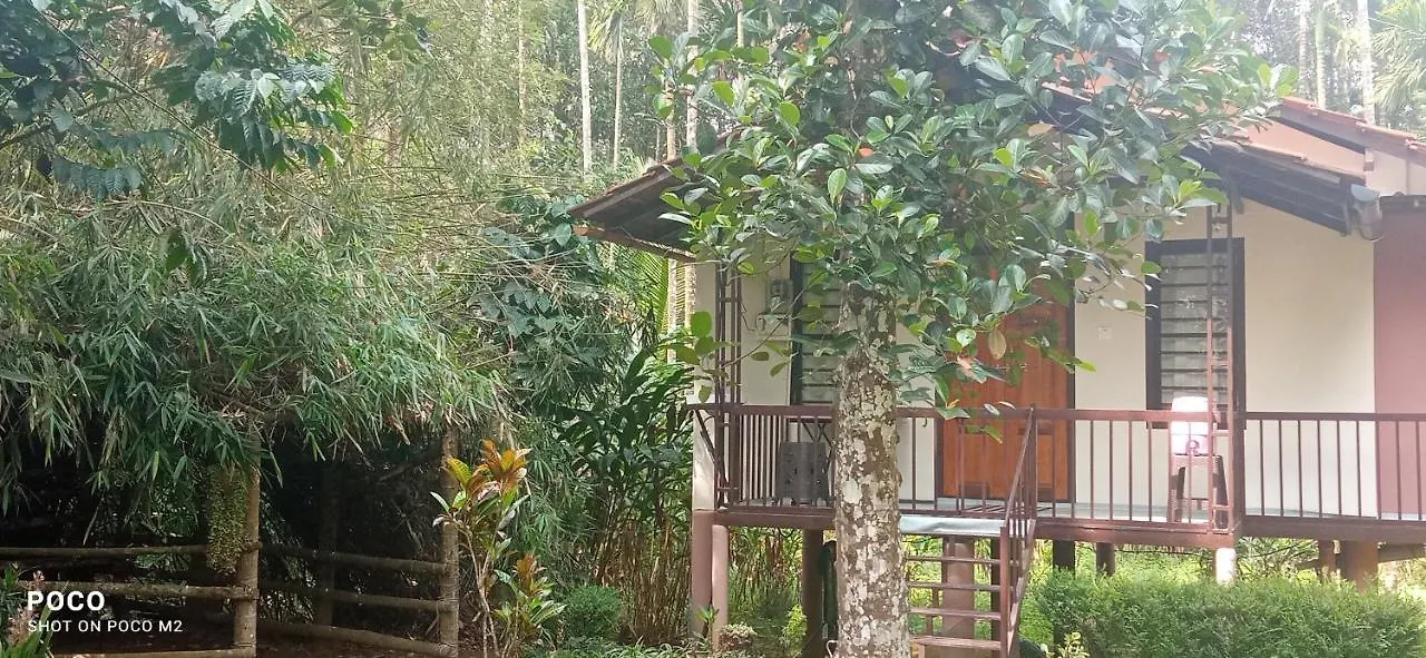 Family Villa Is A Hut Style Accommodation Tariyod 0*,